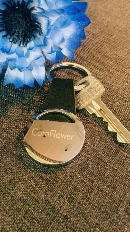 Cornflower Apartment Hajdúszoboszló Zewnętrze zdjęcie